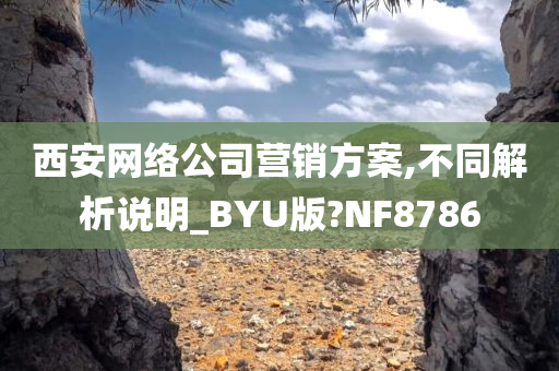 西安网络公司营销方案,不同解析说明_BYU版?NF8786