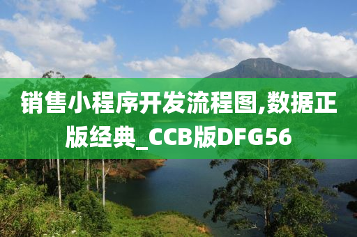 销售小程序开发流程图,数据正版经典_CCB版DFG56