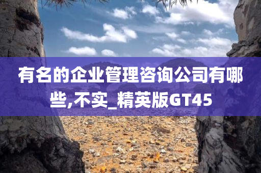 有名的企业管理咨询公司有哪些,不实_精英版GT45