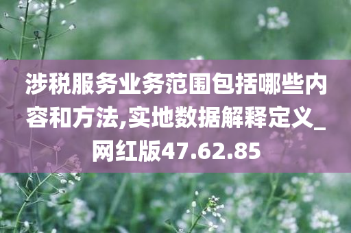 涉税服务业务范围包括哪些内容和方法,实地数据解释定义_网红版47.62.85