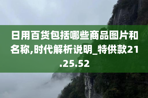 日用百货包括哪些商品图片和名称,时代解析说明_特供款21.25.52