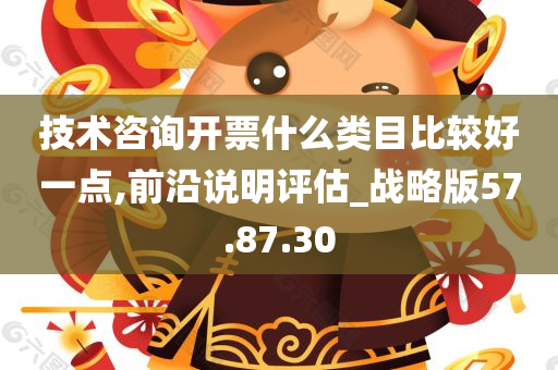 技术咨询开票什么类目比较好一点,前沿说明评估_战略版57.87.30