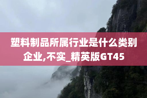 塑料制品所属行业是什么类别企业,不实_精英版GT45