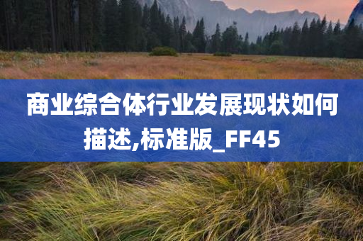 商业综合体行业发展现状如何描述,标准版_FF45