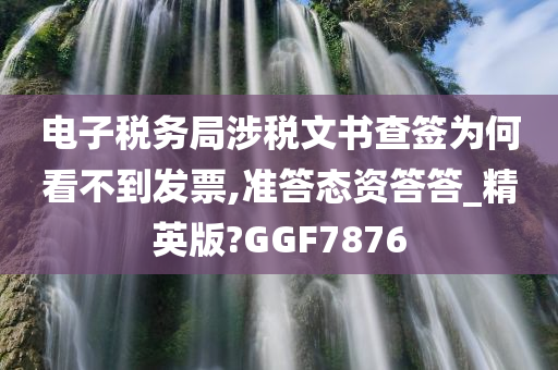 电子税务局涉税文书查签为何看不到发票,准答态资答答_精英版?GGF7876