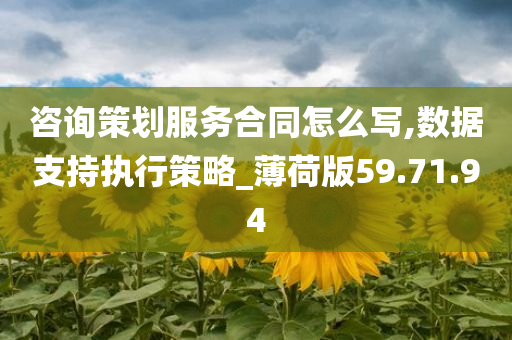 咨询策划服务合同怎么写,数据支持执行策略_薄荷版59.71.94