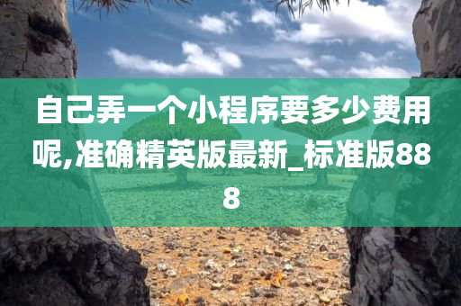 自己弄一个小程序要多少费用呢,准确精英版最新_标准版888