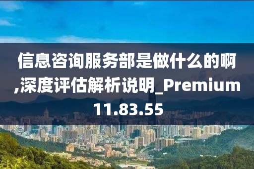 信息咨询服务部是做什么的啊,深度评估解析说明_Premium11.83.55