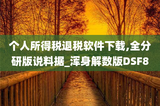 个人所得税退税软件下载,全分研版说料据_浑身解数版DSF8