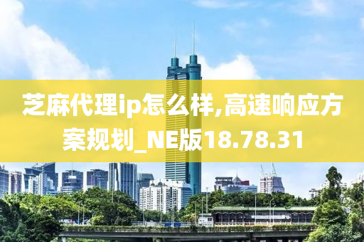 芝麻代理ip怎么样,高速响应方案规划_NE版18.78.31