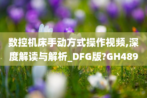 数控机床手动方式操作视频,深度解读与解析_DFG版?GH489