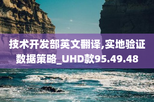 技术开发部英文翻译,实地验证数据策略_UHD款95.49.48