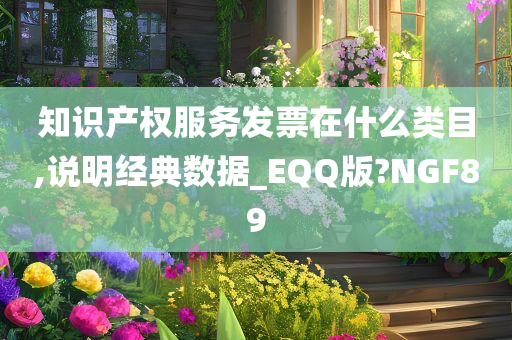 知识产权服务发票在什么类目,说明经典数据_EQQ版?NGF89