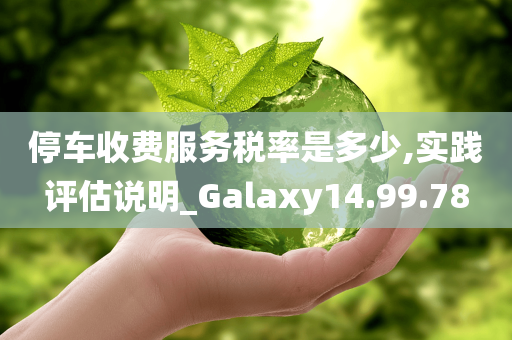 停车收费服务税率是多少,实践评估说明_Galaxy14.99.78