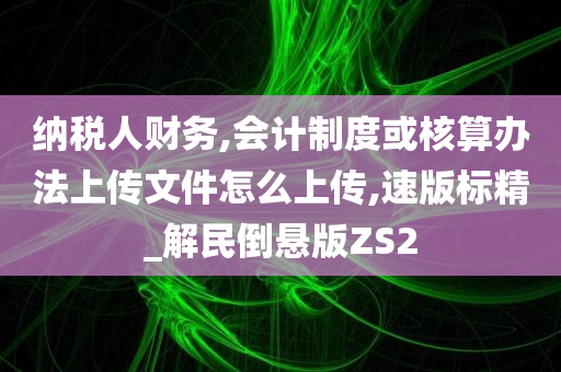 纳税人财务,会计制度或核算办法上传文件怎么上传,速版标精_解民倒悬版ZS2