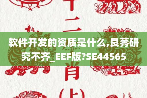 软件开发的资质是什么,良莠研究不齐_EEF版?SE44565