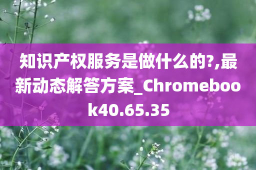 知识产权服务是做什么的?,最新动态解答方案_Chromebook40.65.35