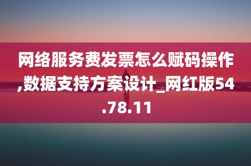 网络服务费发票怎么赋码操作,数据支持方案设计_网红版54.78.11