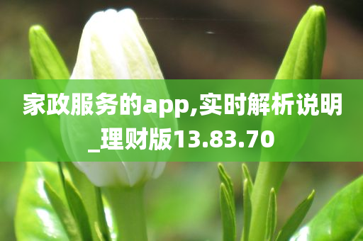 家政服务的app,实时解析说明_理财版13.83.70