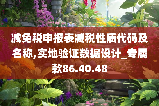 减免税申报表减税性质代码及名称,实地验证数据设计_专属款86.40.48