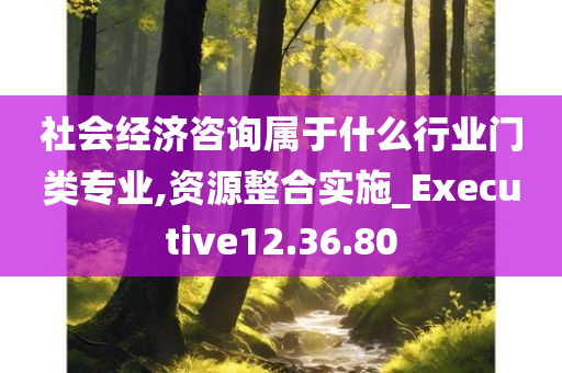 社会经济咨询属于什么行业门类专业,资源整合实施_Executive12.36.80