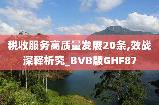 税收服务高质量发展20条,效战深释析究_BVB版GHF87