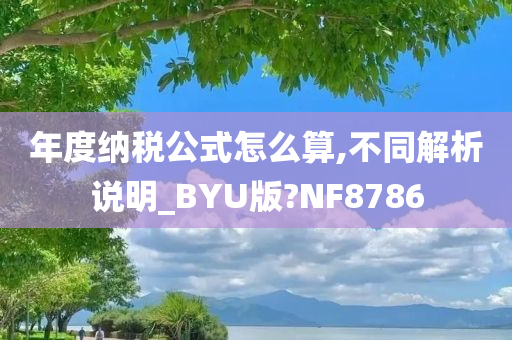 年度纳税公式怎么算,不同解析说明_BYU版?NF8786