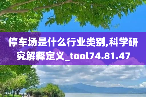 停车场是什么行业类别,科学研究解释定义_tool74.81.47