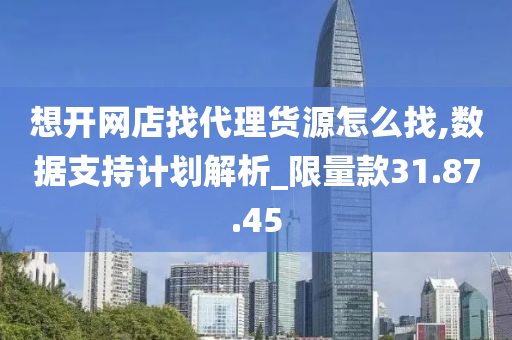 想开网店找代理货源怎么找,数据支持计划解析_限量款31.87.45