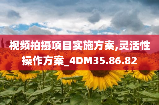 视频拍摄项目实施方案,灵活性操作方案_4DM35.86.82