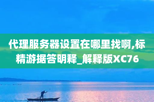 代理服务器设置在哪里找啊,标精游据答明释_解释版XC76