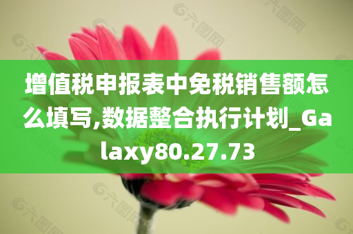 增值税申报表中免税销售额怎么填写,数据整合执行计划_Galaxy80.27.73