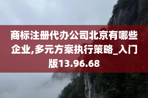 商标注册代办公司北京有哪些企业,多元方案执行策略_入门版13.96.68