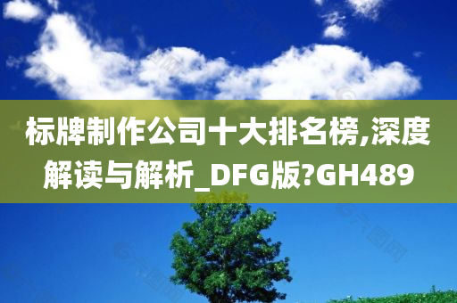 标牌制作公司十大排名榜,深度解读与解析_DFG版?GH489