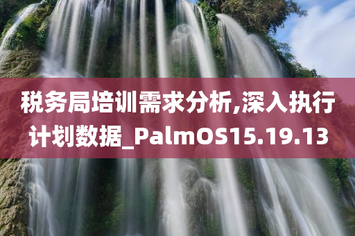 税务局培训需求分析,深入执行计划数据_PalmOS15.19.13