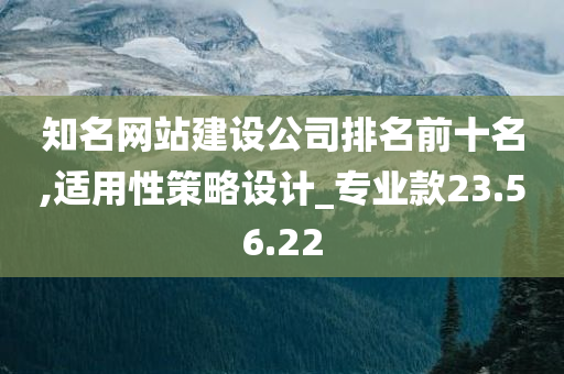 知名网站建设公司排名前十名,适用性策略设计_专业款23.56.22