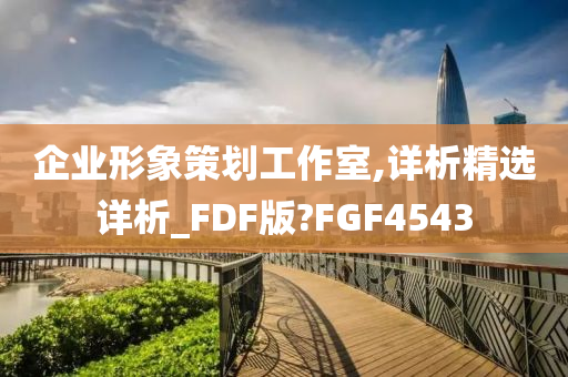 企业形象策划工作室,详析精选详析_FDF版?FGF4543