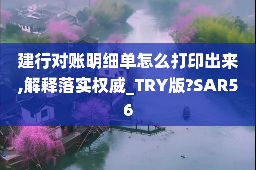 建行对账明细单怎么打印出来,解释落实权威_TRY版?SAR56