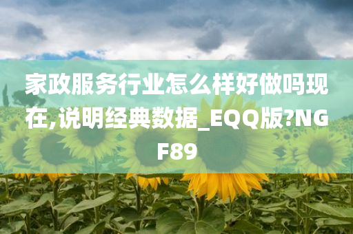 家政服务行业怎么样好做吗现在,说明经典数据_EQQ版?NGF89