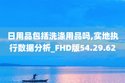 日用品包括洗涤用品吗,实地执行数据分析_FHD版54.29.62