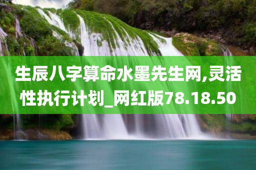 生辰八字算命水墨先生网,灵活性执行计划_网红版78.18.50