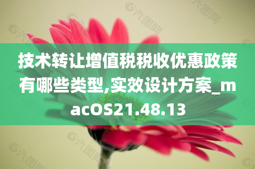 技术转让增值税税收优惠政策有哪些类型,实效设计方案_macOS21.48.13