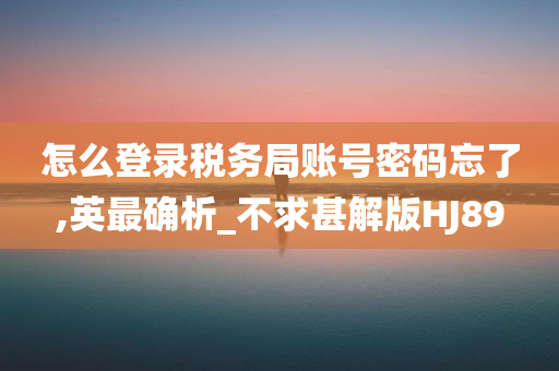 怎么登录税务局账号密码忘了,英最确析_不求甚解版HJ89