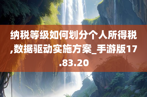 纳税等级如何划分个人所得税,数据驱动实施方案_手游版17.83.20