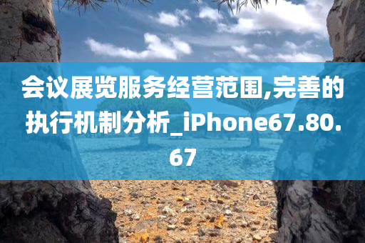 会议展览服务经营范围,完善的执行机制分析_iPhone67.80.67