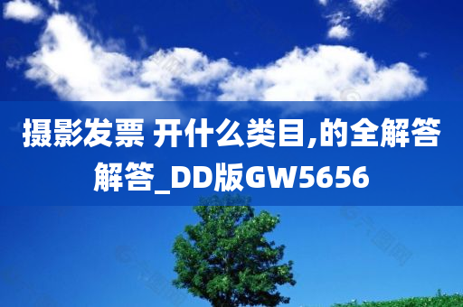 摄影发票 开什么类目,的全解答解答_DD版GW5656