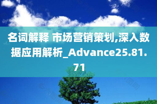 名词解释 市场营销策划,深入数据应用解析_Advance25.81.71