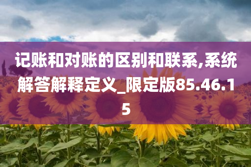 记账和对账的区别和联系,系统解答解释定义_限定版85.46.15