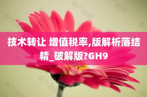 技术转让 增值税率,版解析落结精_破解版?GH9