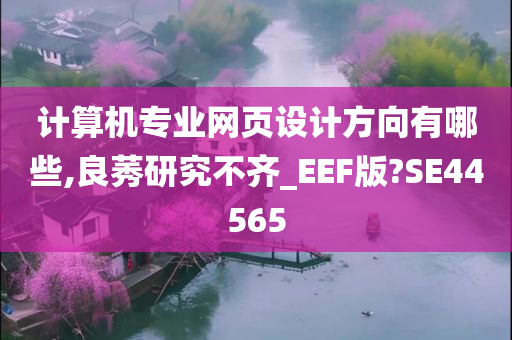 计算机专业网页设计方向有哪些,良莠研究不齐_EEF版?SE44565